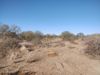258th Avenue photo